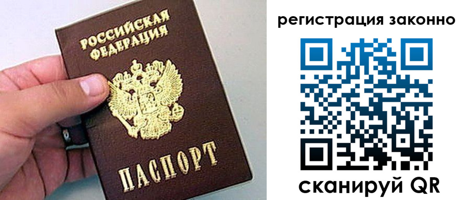 временная регистрация поиск в Сольцах
