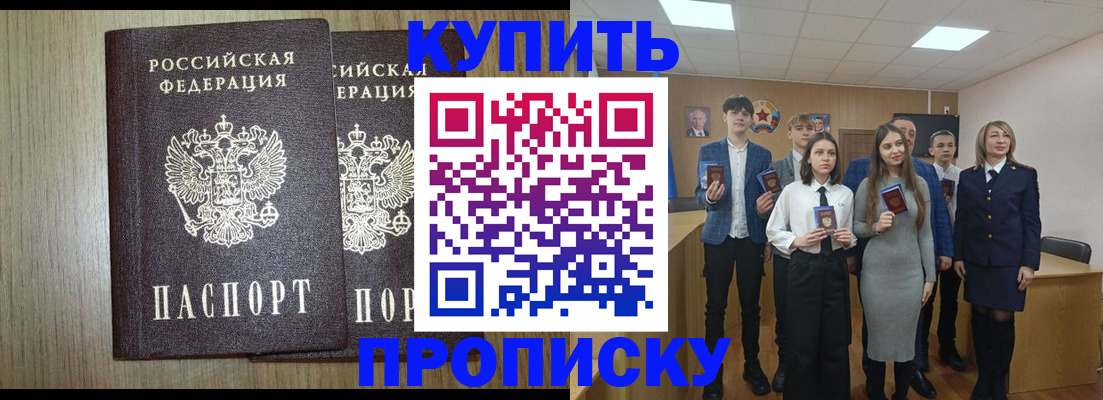 прописка гарантия в Сольцах